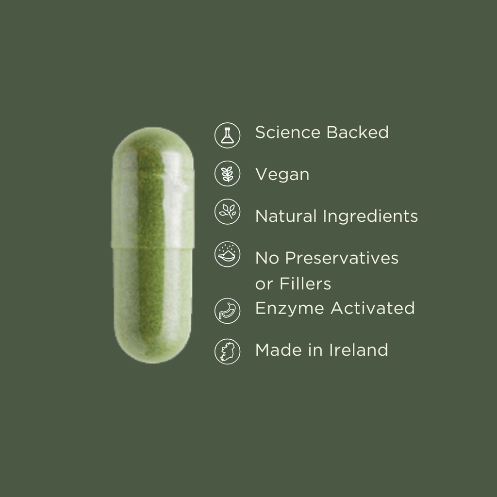 BrocCore