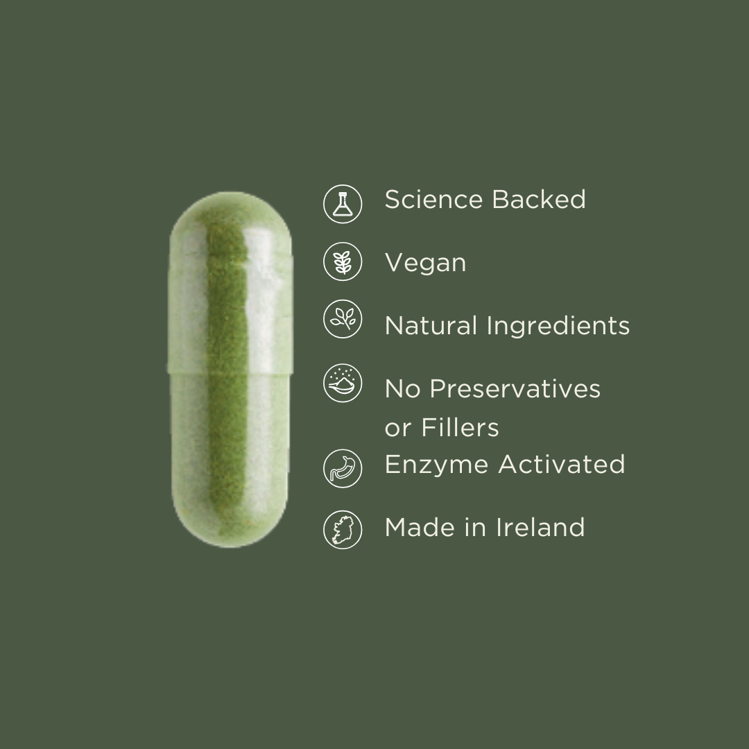 BrocCore